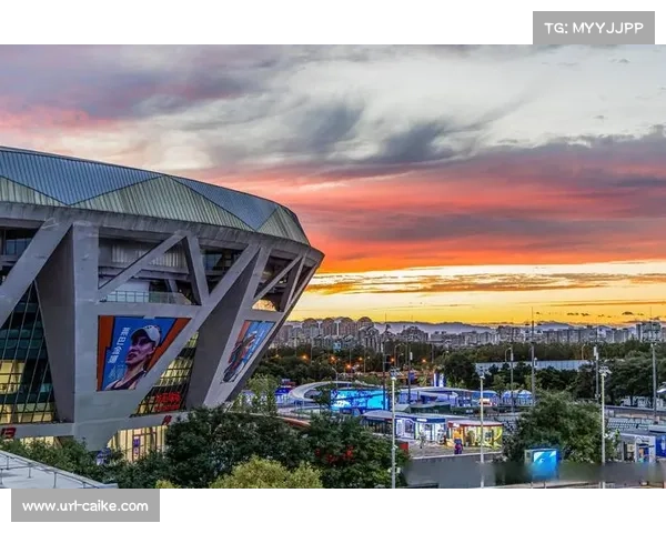 全国锦标赛门票销售火爆 决赛阶段上座率突破八成创历史新高